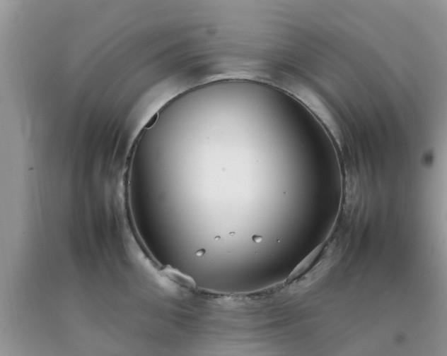 X0000092050906200709191118