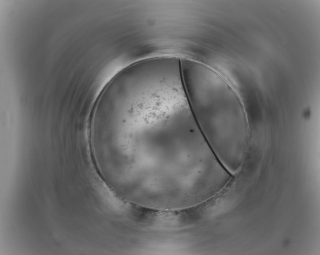 X0000092050907200709191118