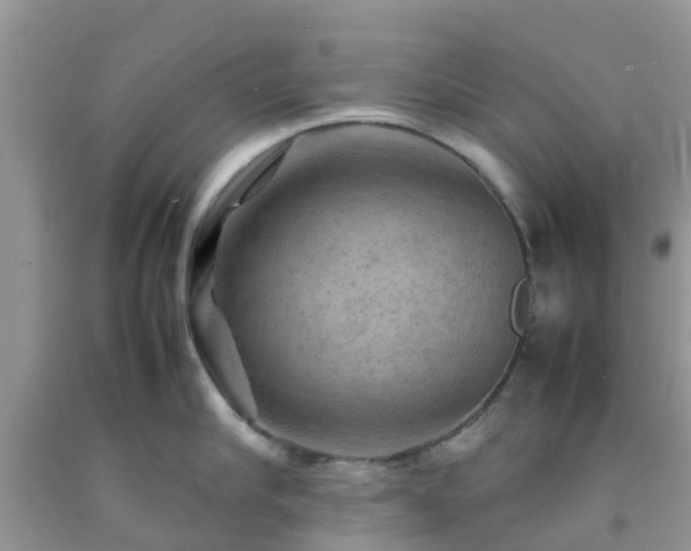 X0000092050910200709191118