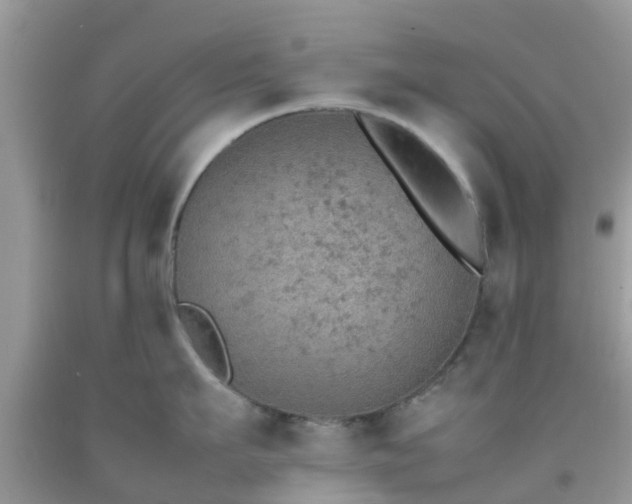 X0000092050911200709191118