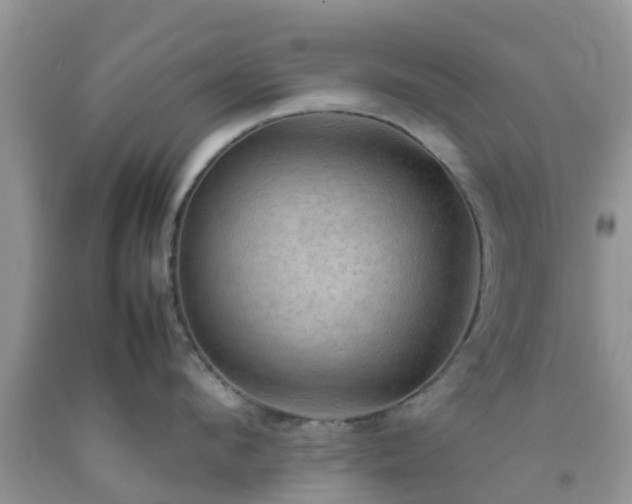 X0000092050912200709191118