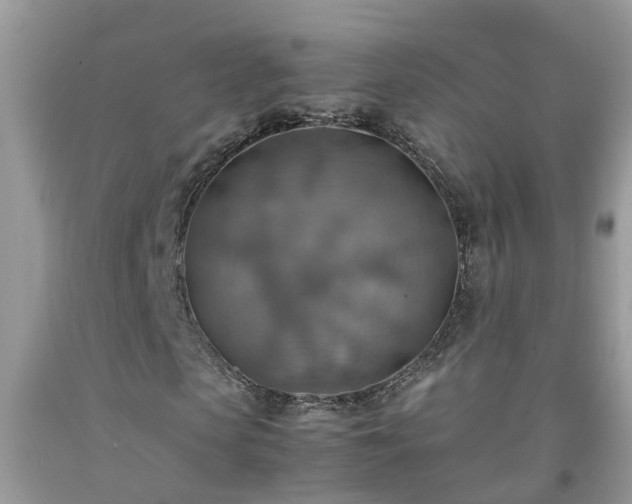 X0000092050913200709191117