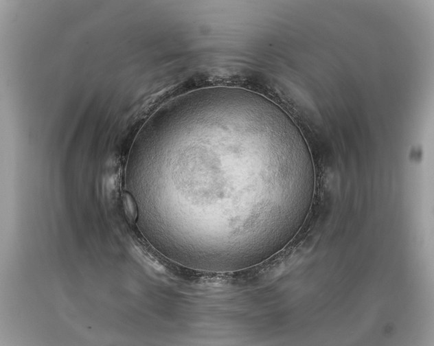 X0000092050914200709191117