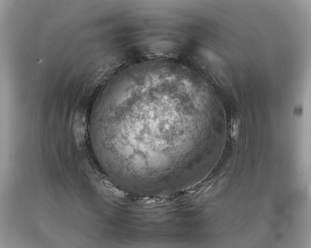 X0000092050915200709191117