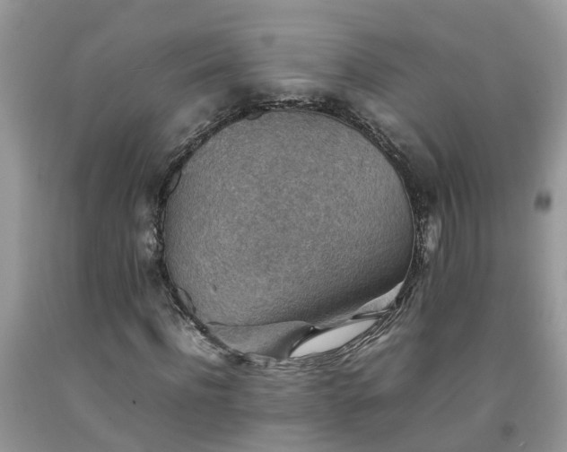 X0000092050916200709191117