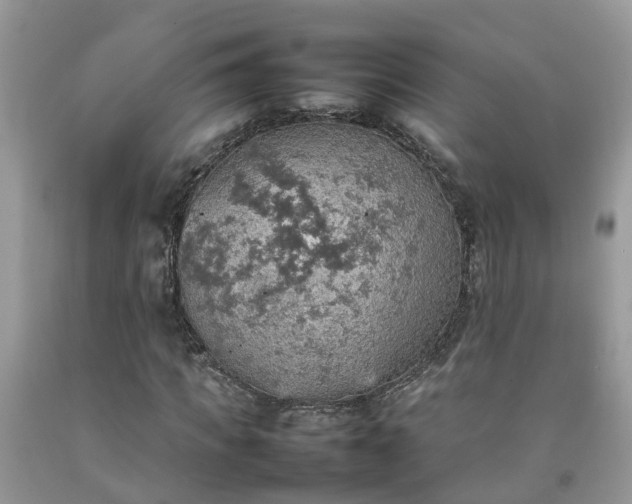 X0000092050917200709191117