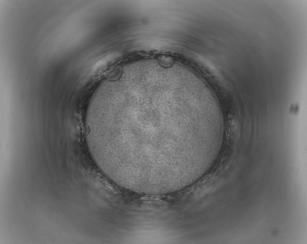 X0000092050918200709191117