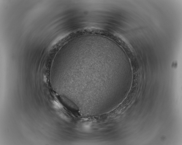 X0000092050919200709191117