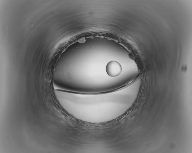 X0000092050920200709191117