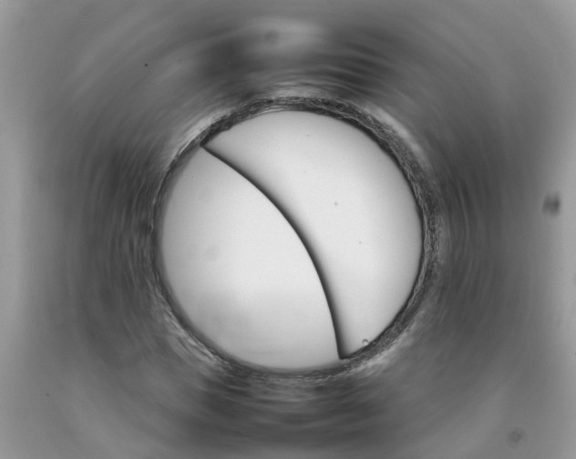 X0000092050921200709191117