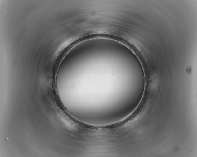 X0000092050922200709191117