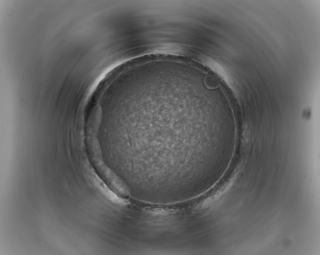 X0000092050923200709191117