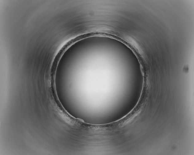 X0000092050924200709191117