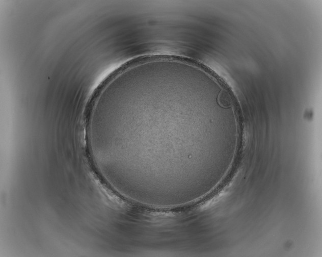 X0000092050925200709191118