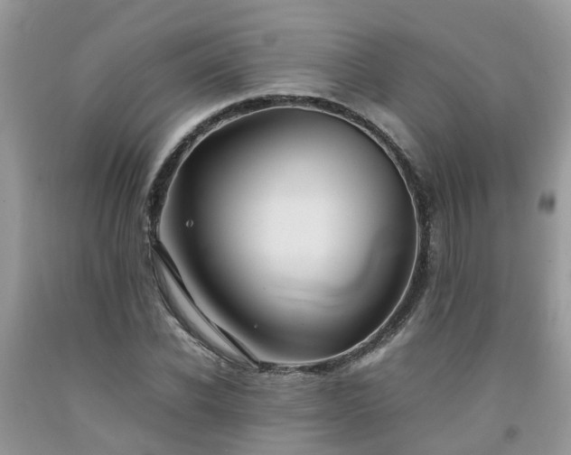 X0000092050926200709191118