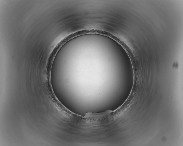 X0000092050927200709191118