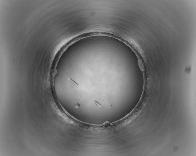 X0000092050928200709191118