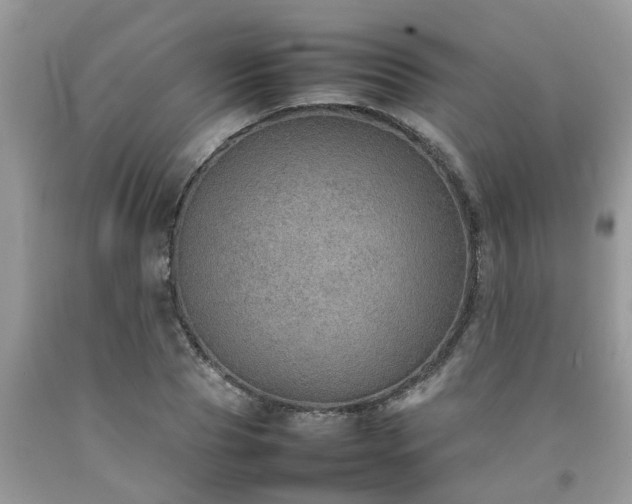 X0000092050929200709191118