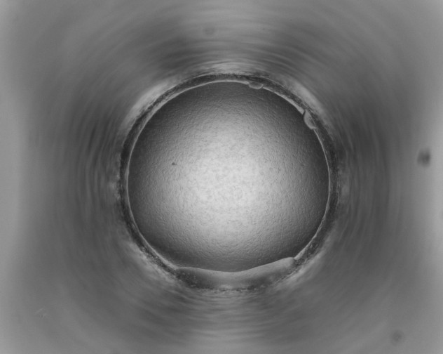 X0000092050930200709191118