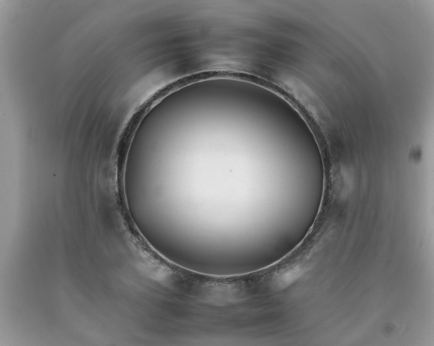 X0000092050931200709191118