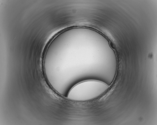 X0000092050932200709191118