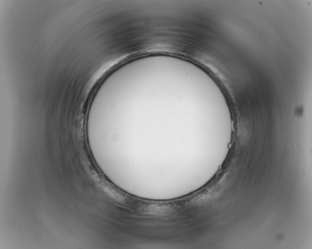 X0000092050933200709191118