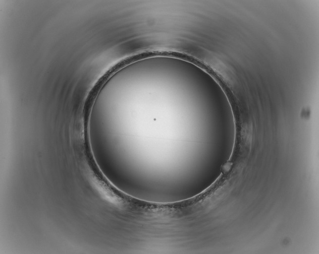 X0000092050934200709191118