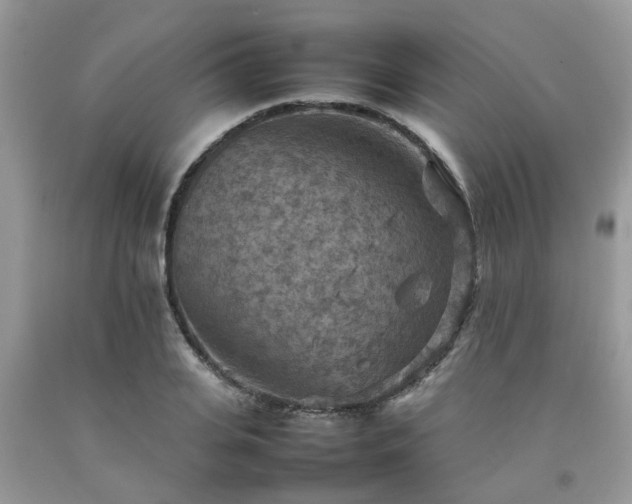 X0000092050935200709191118