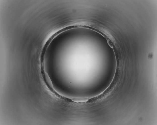 X0000092050936200709191118