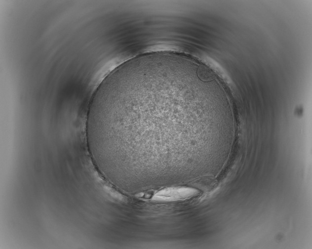 X0000092050937200709191118