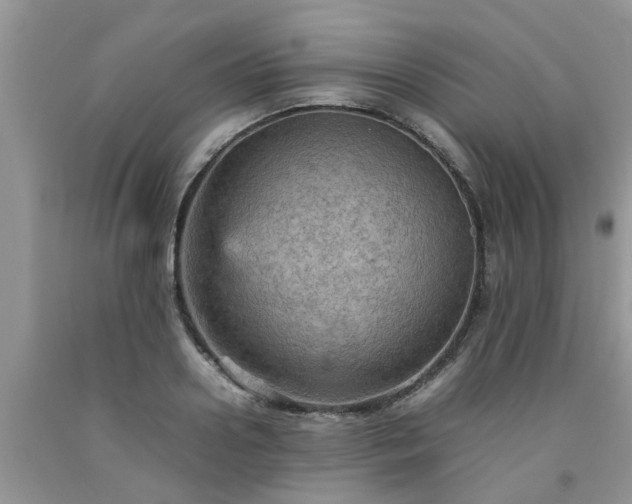 X0000092050938200709191118