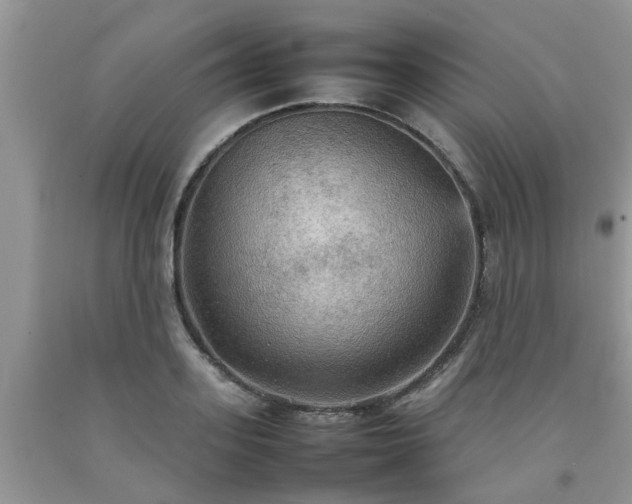 X0000092050939200709191118