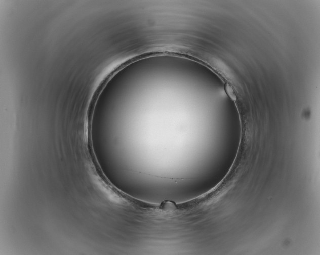 X0000092050940200709191118