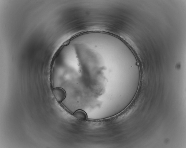 X0000092050941200709191118