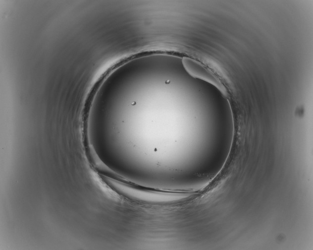 X0000092050942200709191118