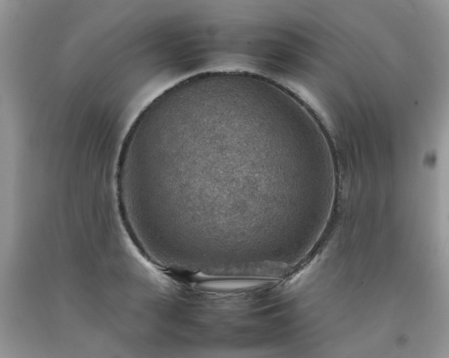 X0000092050943200709191118