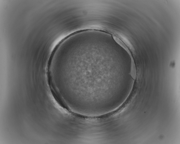 X0000092050944200709191118