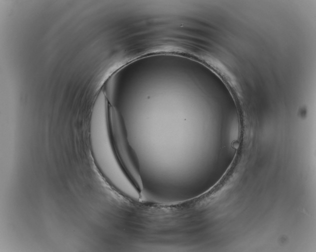 X0000092050945200709191118