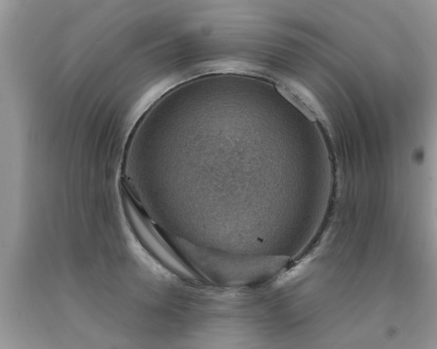 X0000092050946200709191118