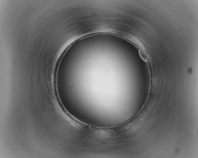 X0000092050947200709191118