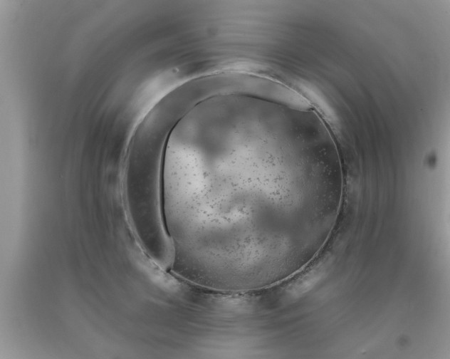 X0000092050948200709191118