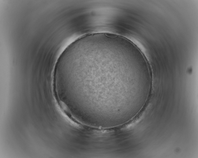 X0000092050949200709191118