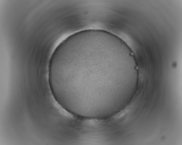 X0000092050950200709191118