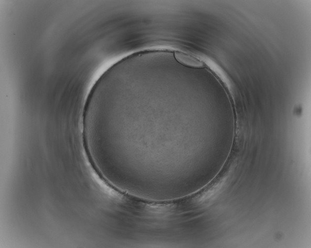 X0000092050951200709191118