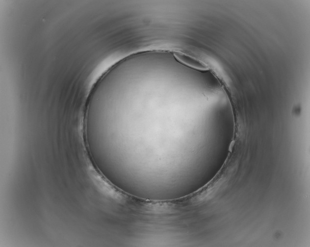 X0000092050952200709191118