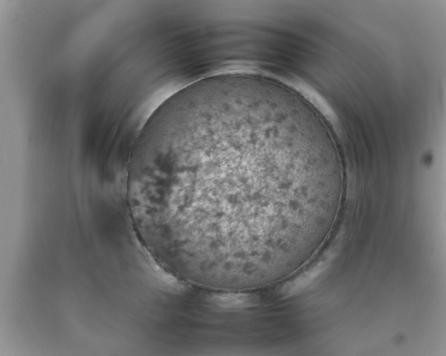 X0000092050953200709191118