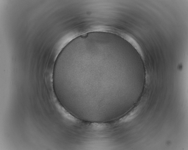 X0000092050954200709191118