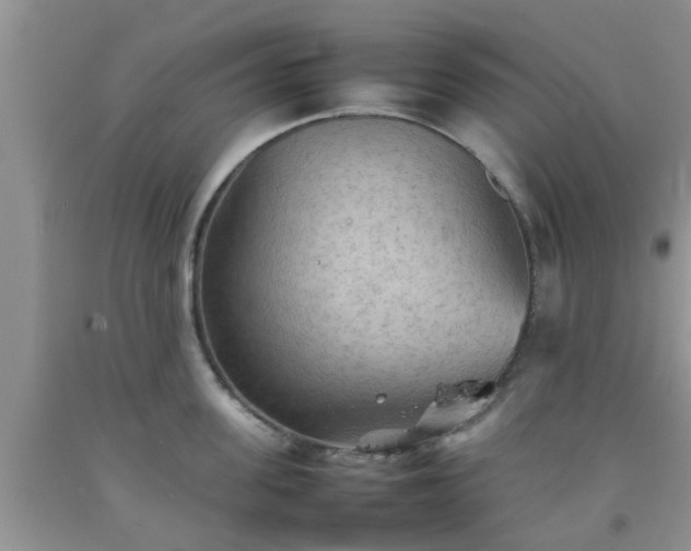 X0000092050955200709191118