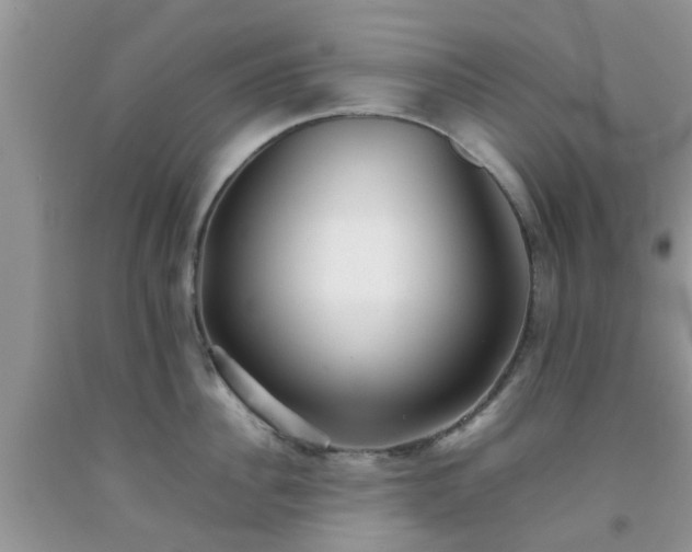 X0000092050956200709191118