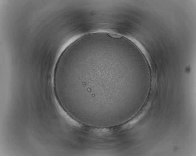 X0000092050957200709191118